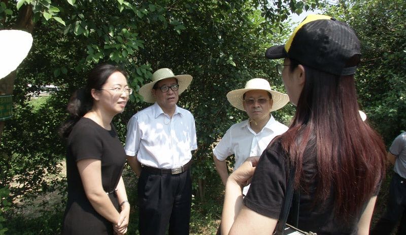 2016年6月5日全國人大常委會蘇曉云來公司考察指導基地生產
