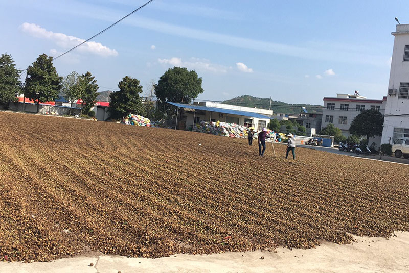 麻城市鴻宇農業開發有限責任公司